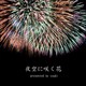 夜空に咲く花